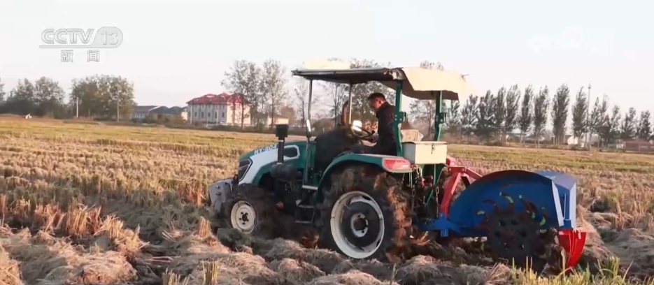 抗击秋涝，小麦快播，促苗生长。科技赋能农业