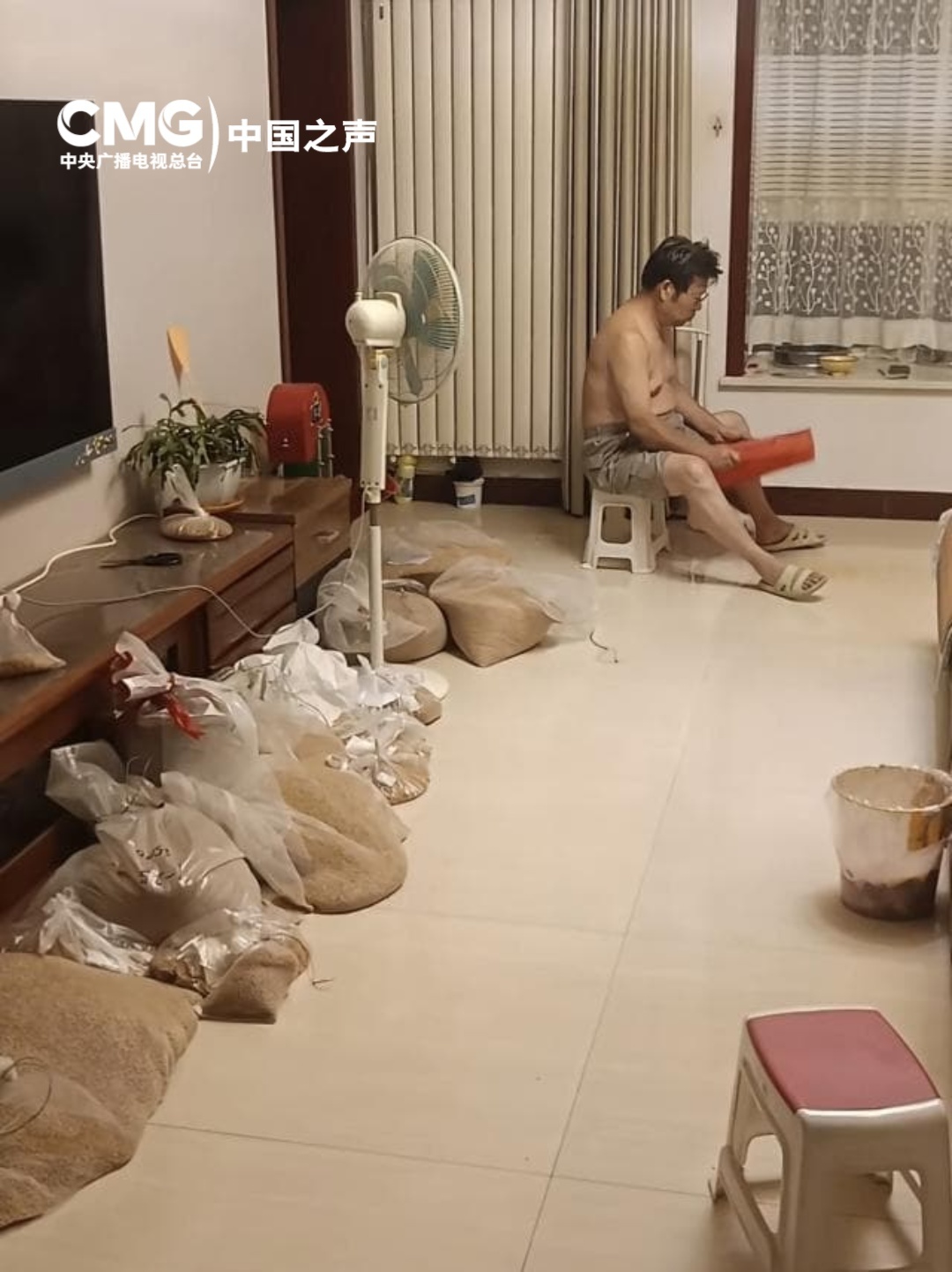 时光里丨麦子熟了几十回