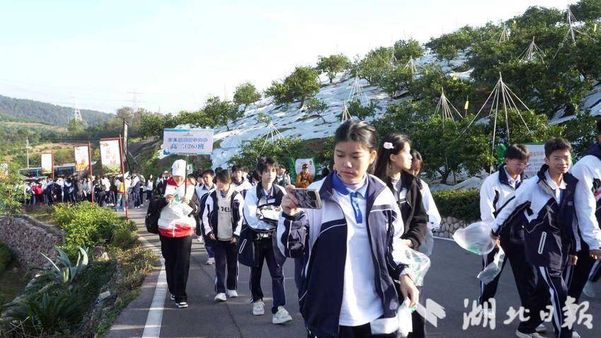 柑园变课堂！宜都这个村为何吸引深圳两千学子打卡？