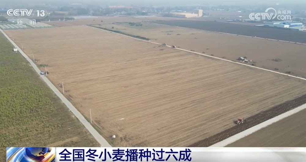 “好机遇+好技术+好种子”助力秋冬季按下“加速