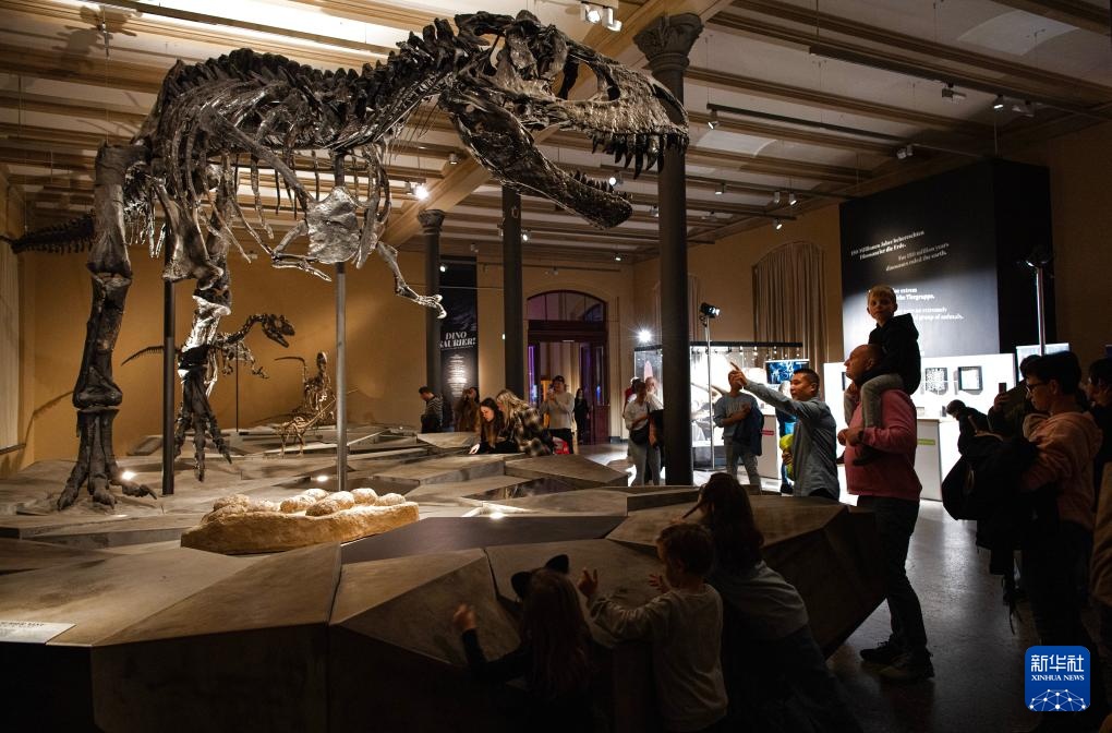 柏林：博物馆中的科学“校园”