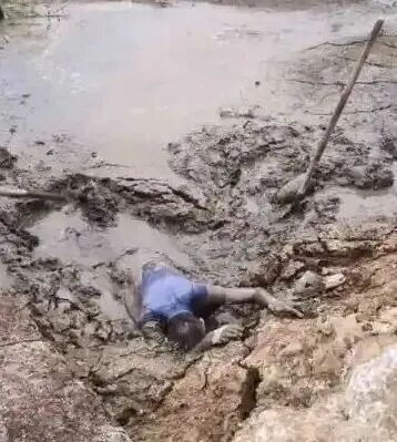 遇到这种危险,越挣扎越危险!