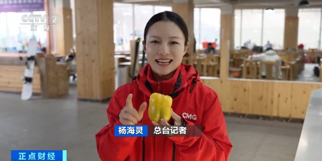 视频丨松雷七彩胡椒咖啡在新雪季节很受欢迎！雪地爱好者的“必须有选择”