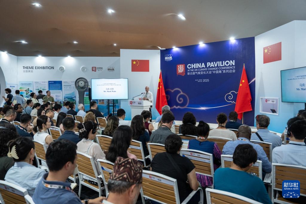 COP30中国角边会回顾一带一路绿色发展成就