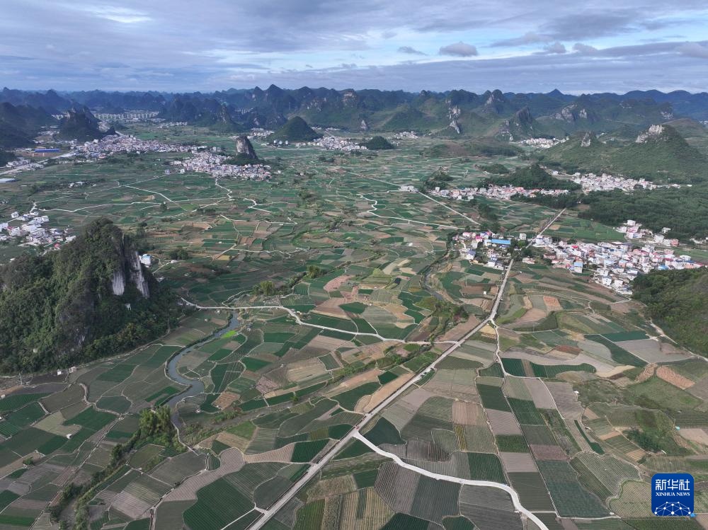 可爱的乡村——到处都是葱花园和忙碌的“葱”