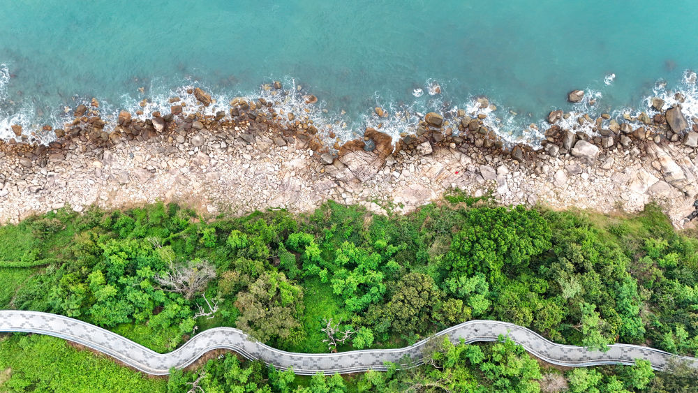 体育地理｜跃动大湾区(图23)