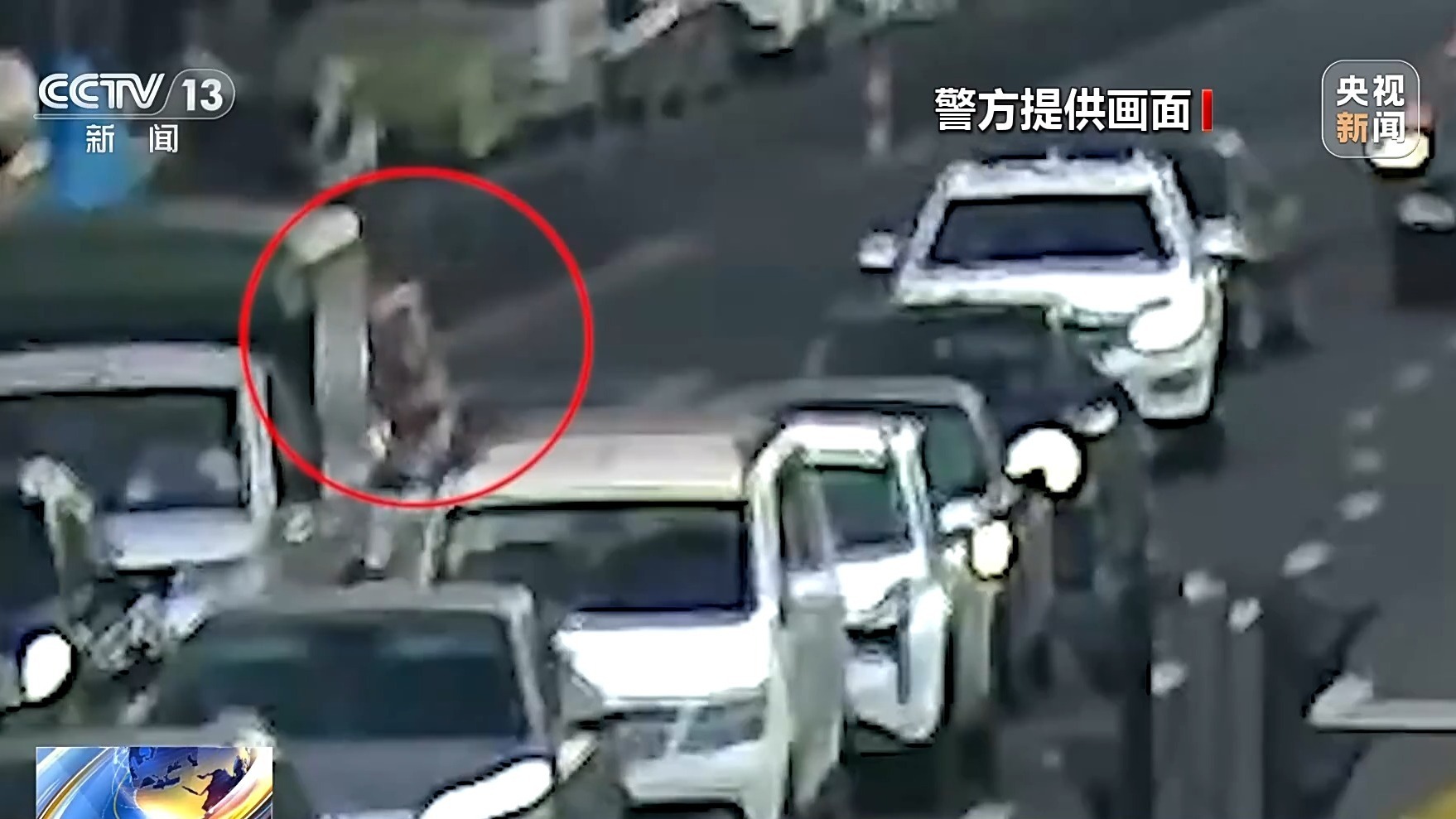 法治在线丨“碰瓷”骗取数百万元保险金，揭露背后犯罪活动