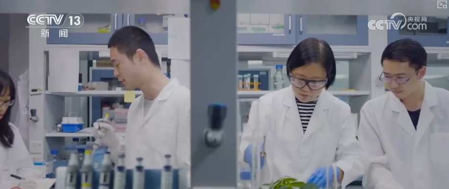 作为中国经济增长“引擎”的科技创新实力充足