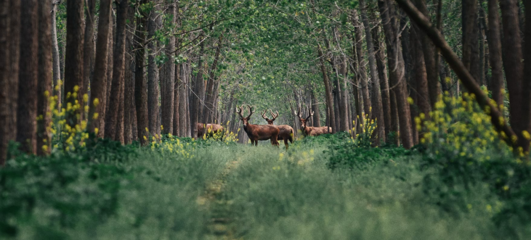 640?wx_fmt=png&from=appmsg&&wxfrom=5&wx_lazy=1#imgIndex=2