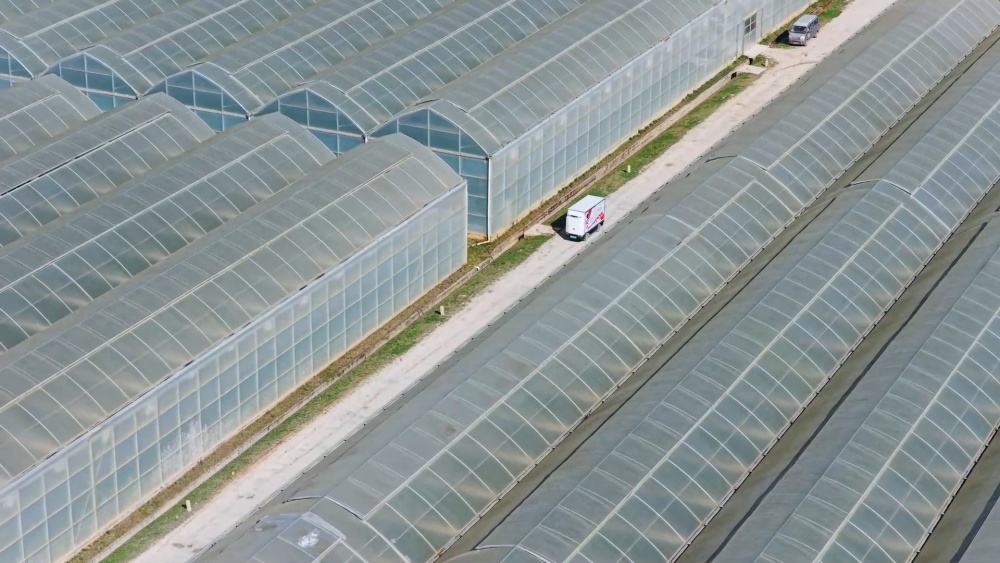 中共中央四中全会精神深入基层