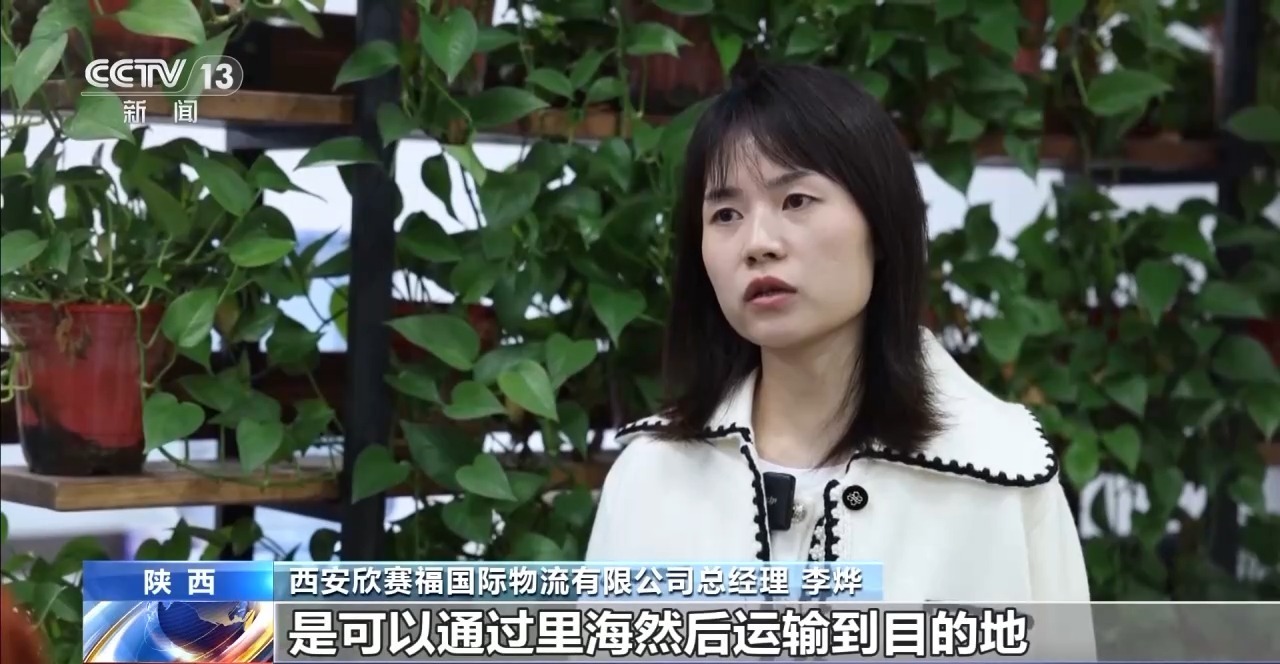 丨更密线路、更优服务、更高效率！新时代“钢铁驼队”正加速启程(图6)