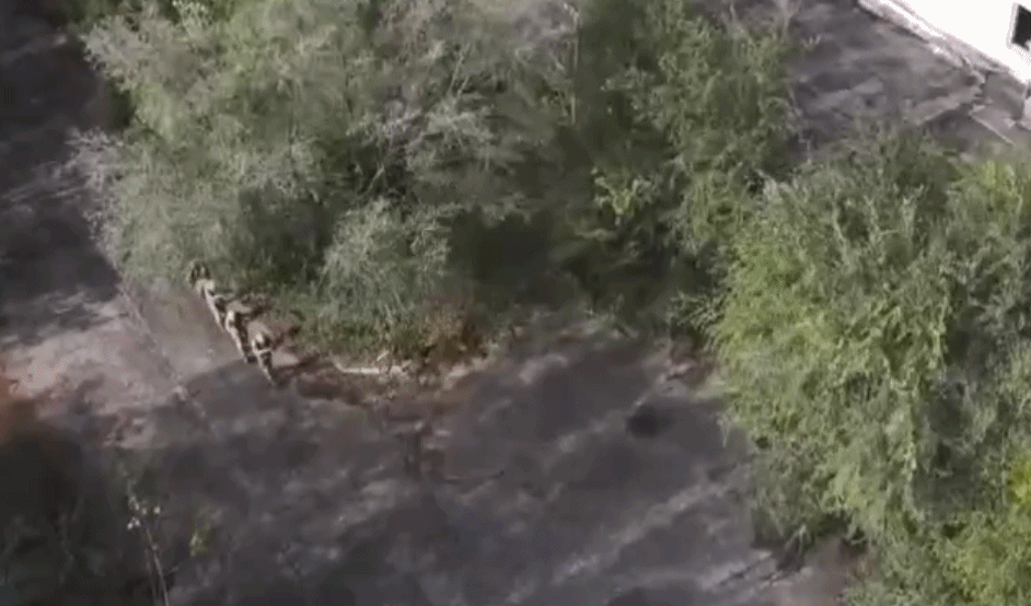 视频 |磨“尖刀”呵护“利