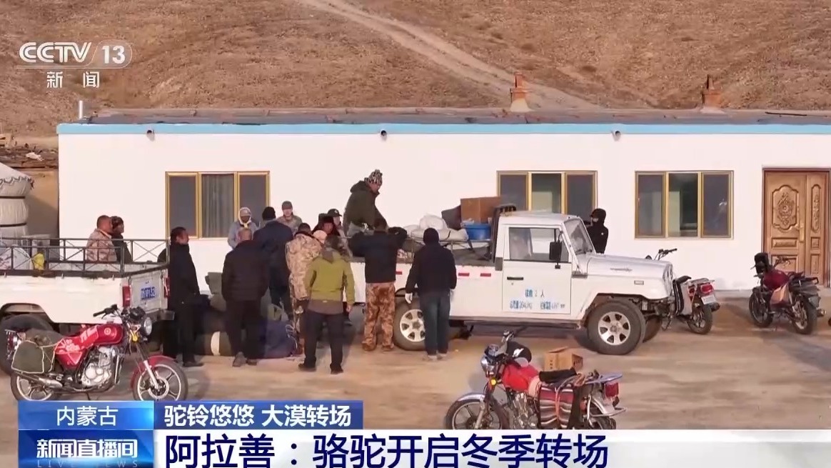 视频 | Camel ling Yoyou 沉浸式冬季观骆驼之旅