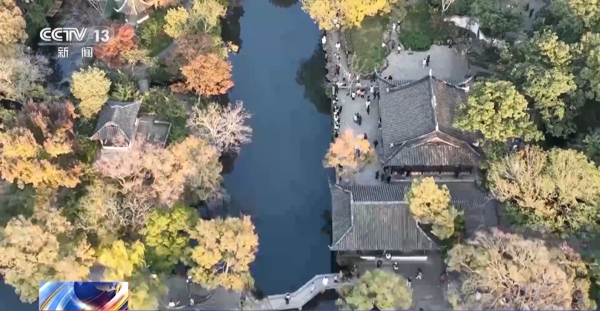 视频丨跟着课本去旅行吧。苏州园林“一秒画成