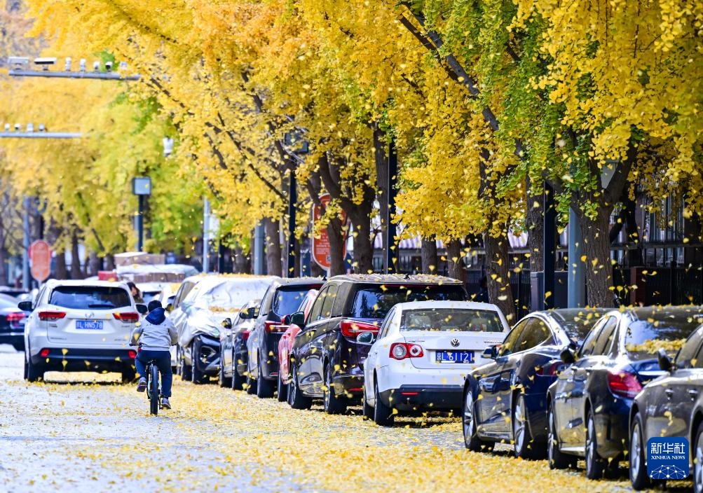 冬天的多彩之美