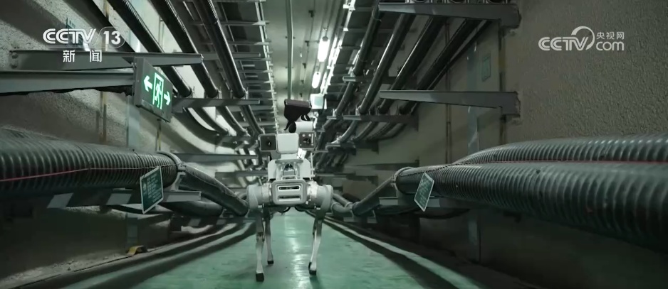 迈向“十五五”美丽图景·一线见闻