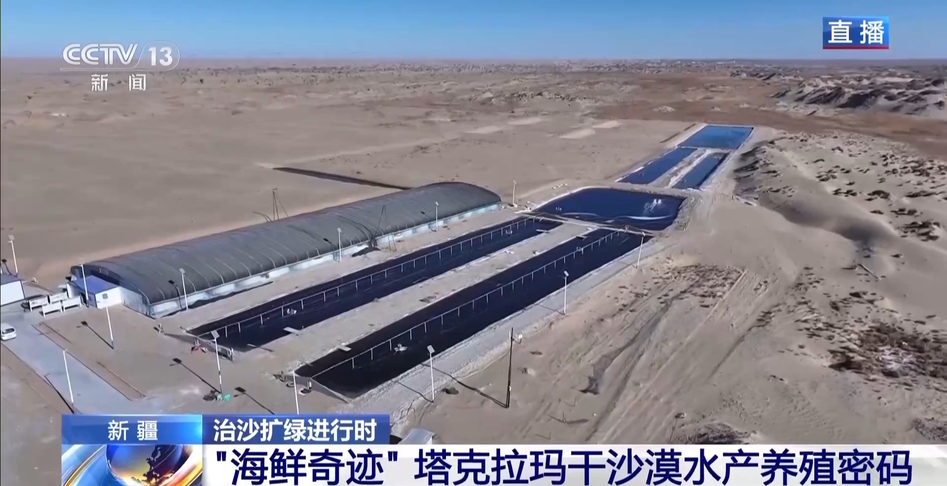 视频丨沙漠里如何养海鲜？塔克拉玛干沙漠的水产养殖密码