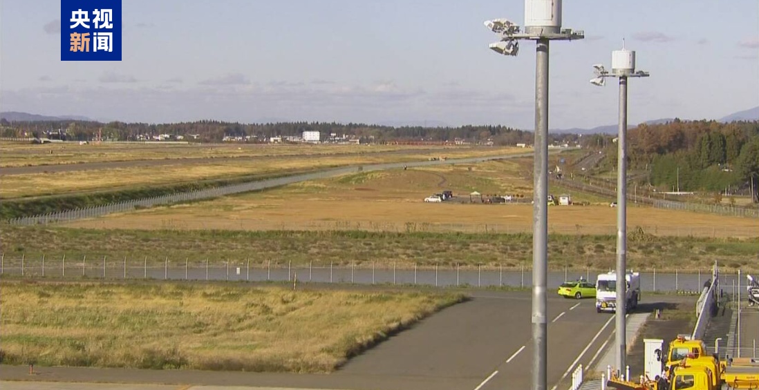 日本机场发现一只野熊，