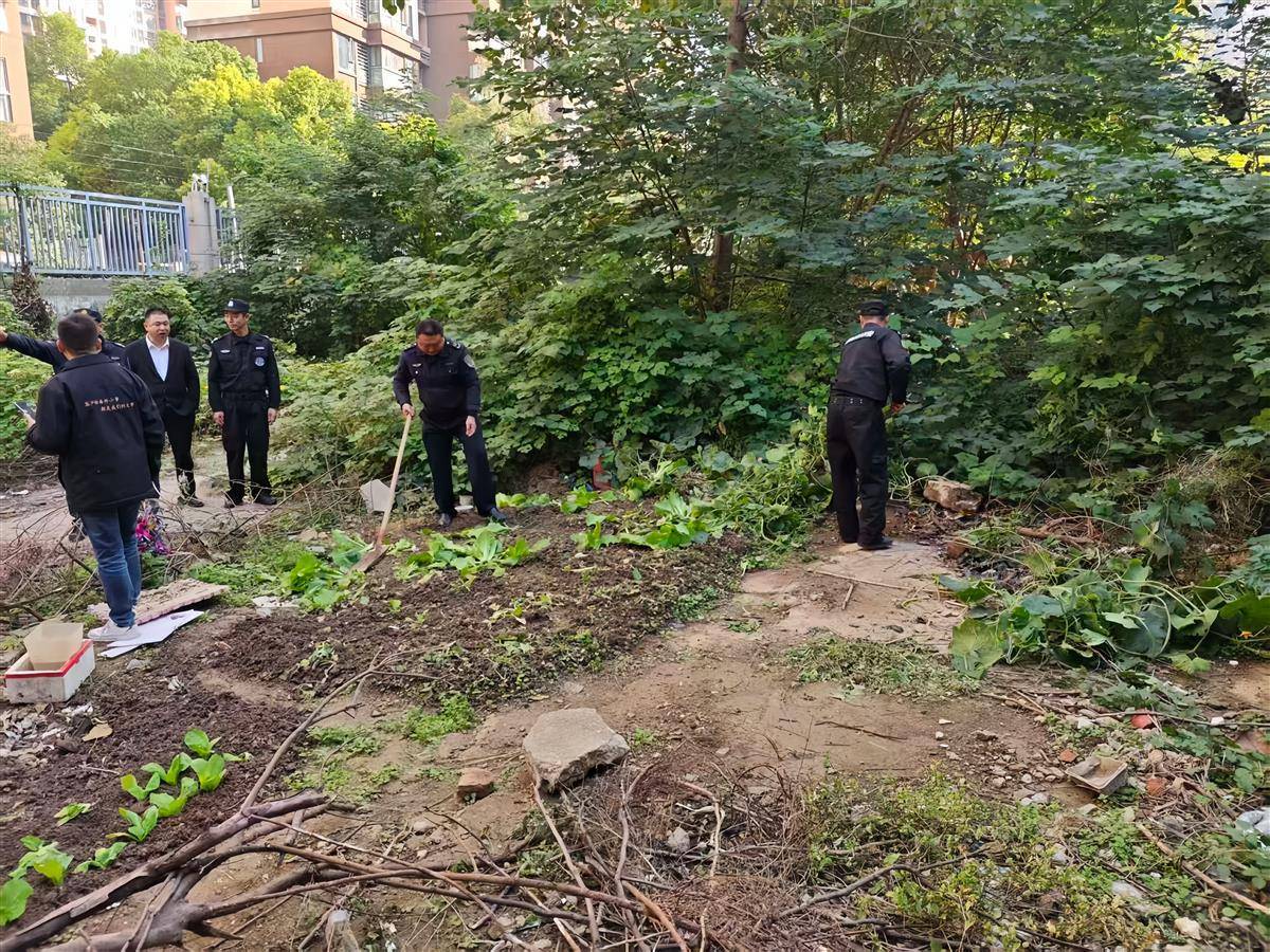 江岸区后湖街联合整治重塑公共空间