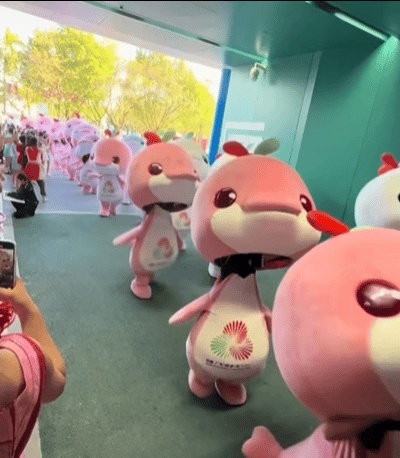 全国大赛“最佳”表情来了!赶快收藏吧 →