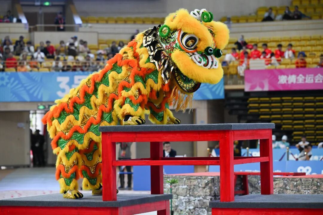 第十五届全运会为何没有奖牌榜？