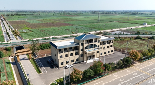 ӦƼ߲ˡоƬѧרŶ߲˲ҵչ