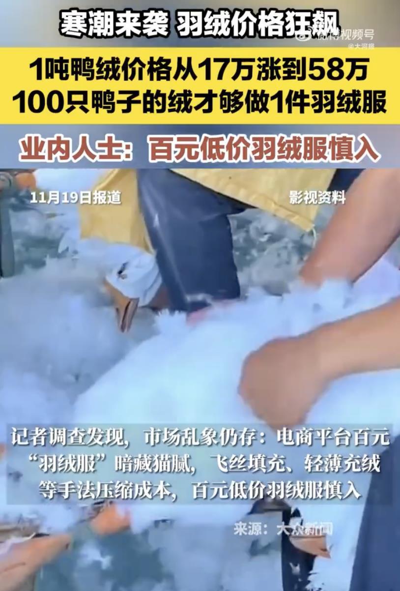 吉木瑞平丨羽绒服出厂价逼近千元我们尊