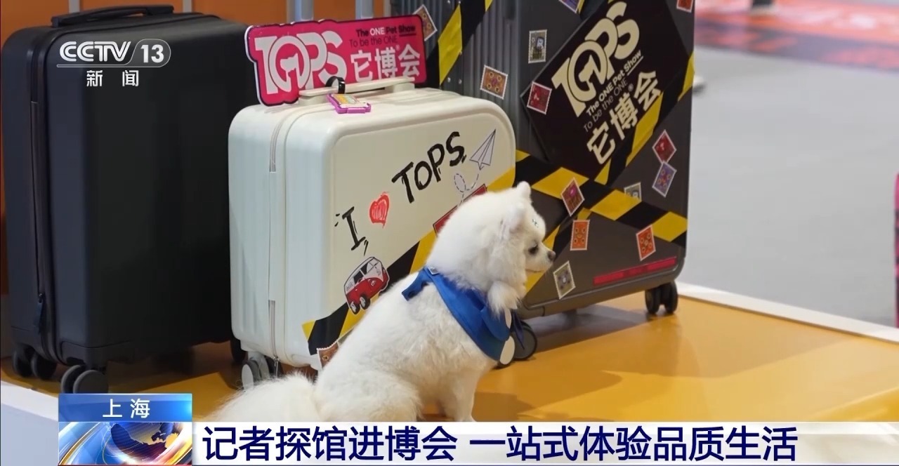 视频丨参观中国国际进