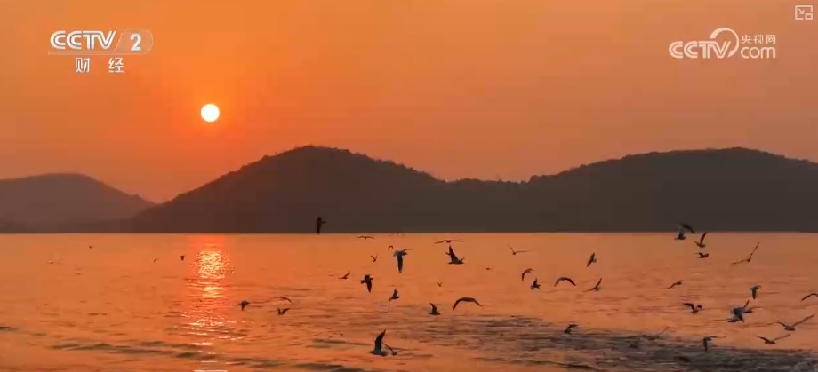 “观鸟+”展现“青春”态度，“生态美”