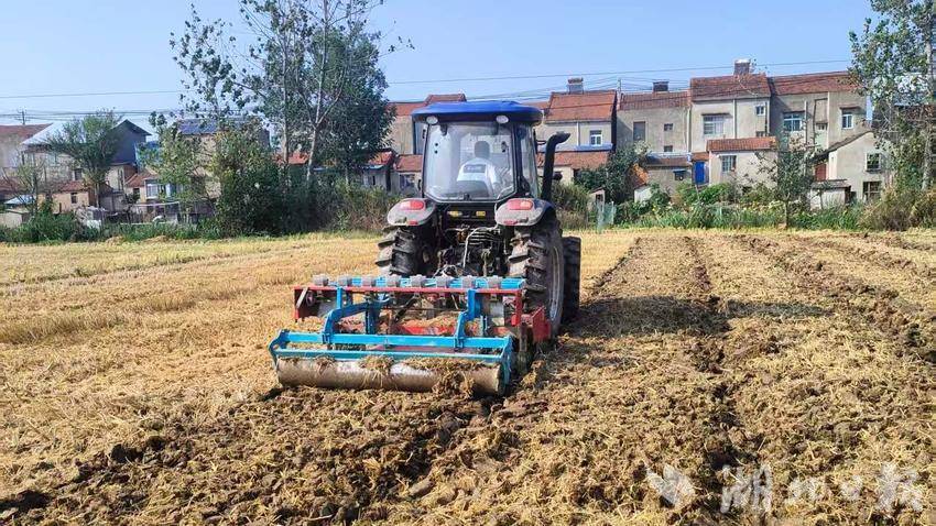 韩川市西江孝从秋天到冬天的田野上都描绘着明