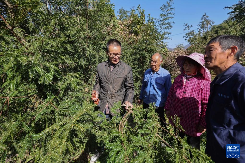 㽭ʡУͷǼ繲ͬٲҵ