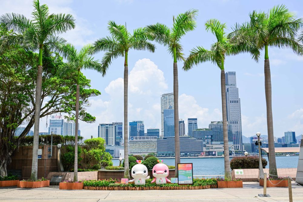 体育地理｜跃动大湾区(图41)