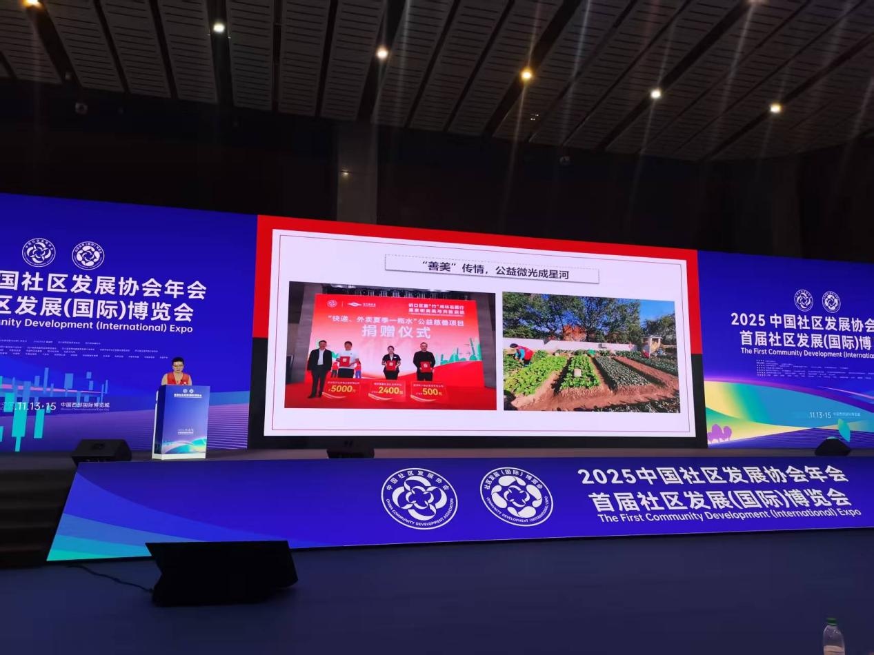 硚口竹叶海社区公益空间亮相国际社博会