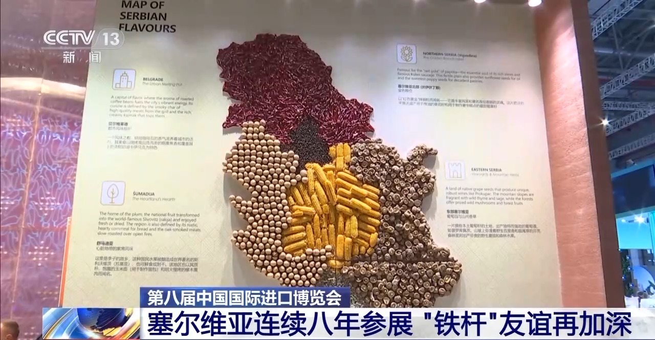 视频：塞尔维亚连续八年参加进博会，两国“无