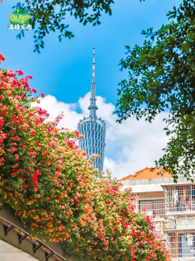 中国文化之旅：立冬