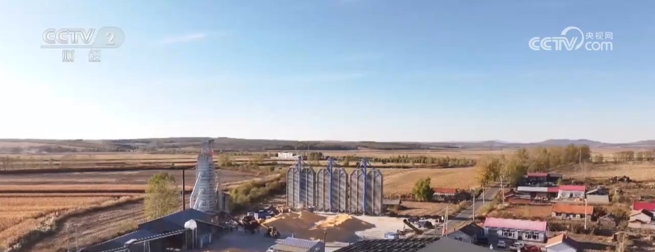 1亿吨秋粮意味着什么?