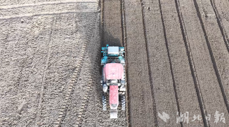 大悟：“小田变大田”， 加快推进高标准农田建设