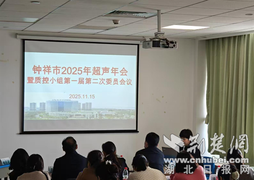 2025年中乡市年度超声诊断会议暨质量控制会议顺