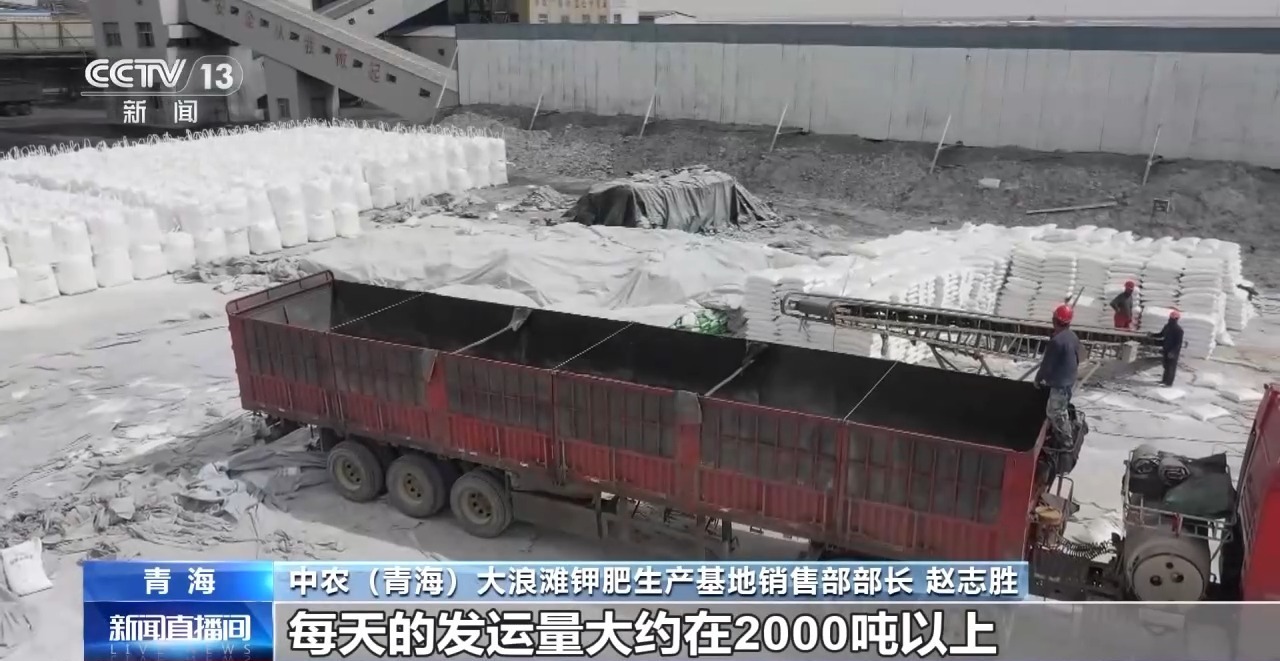 视频丨从数字招标到现场服务,农资“盒子组合