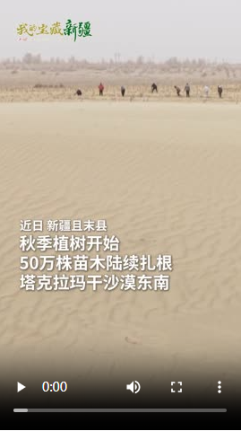 沙海播撒新绿,50万株幼苗在塔克拉玛干沙漠扎根。