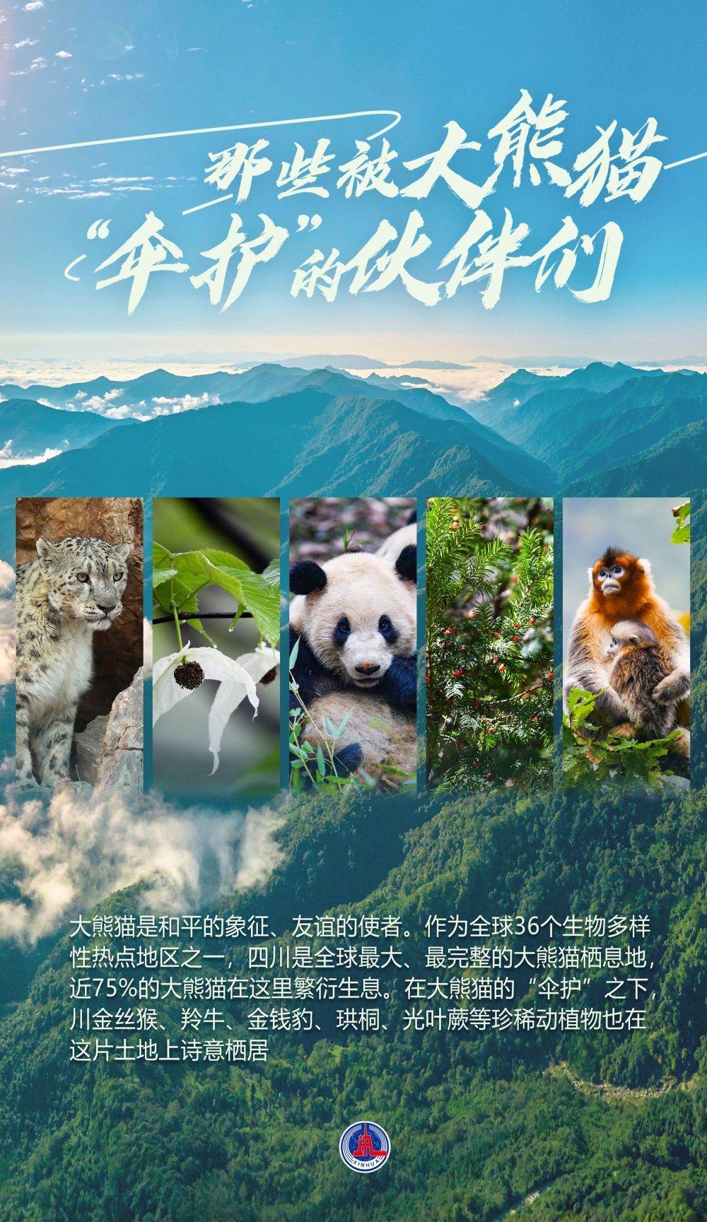 海报|被大熊猫“保护”的朋