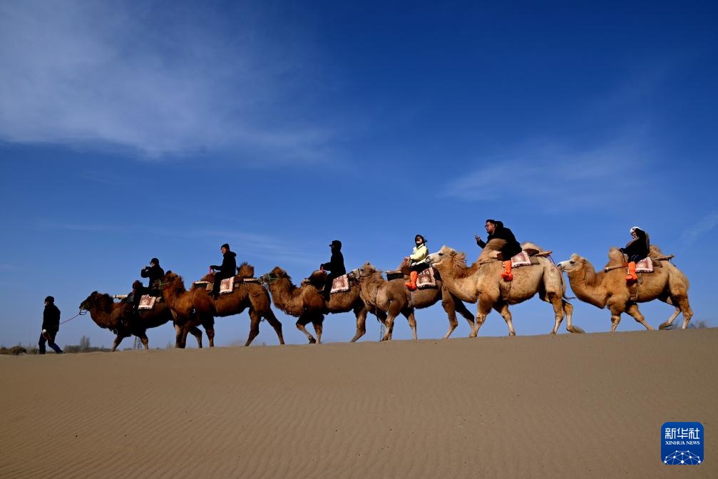 甘肃敦煌：沙漠中骆驼的影子