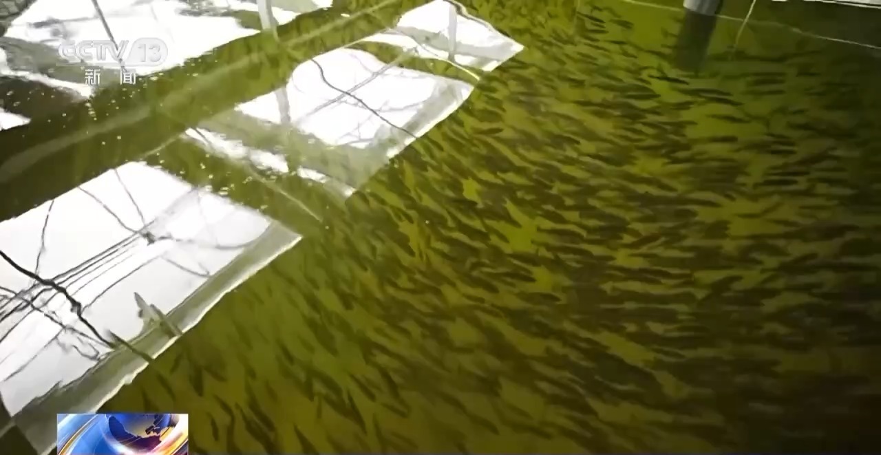 丨我国现代农业产业园总产值超3万亿元(图6)