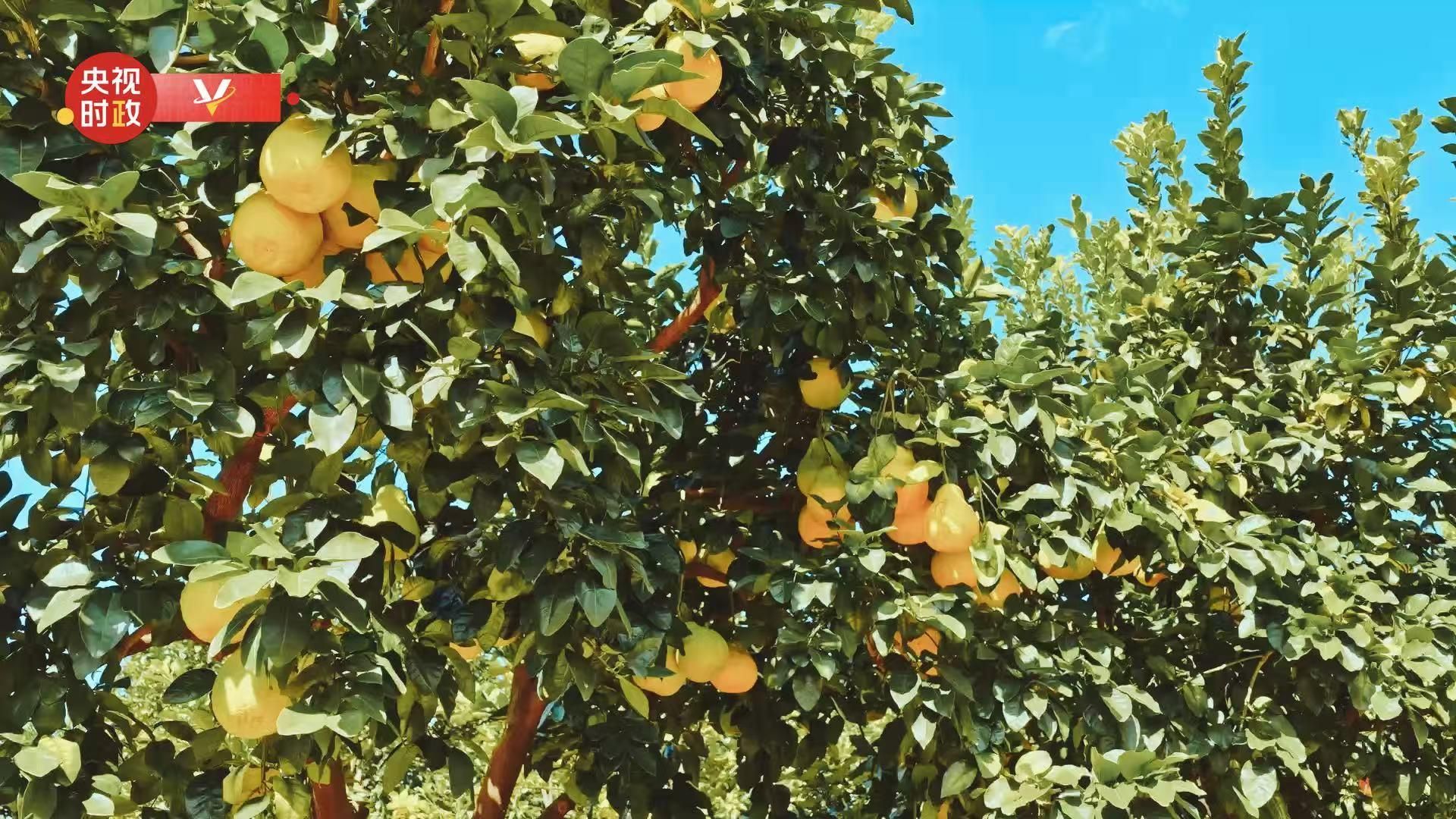 ϰƽ㶫塰ӡҵ߽ڽֲ