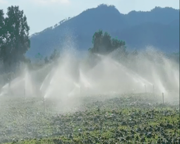 全运会｜在大湾区感知交通联通的强劲脉动(图14)