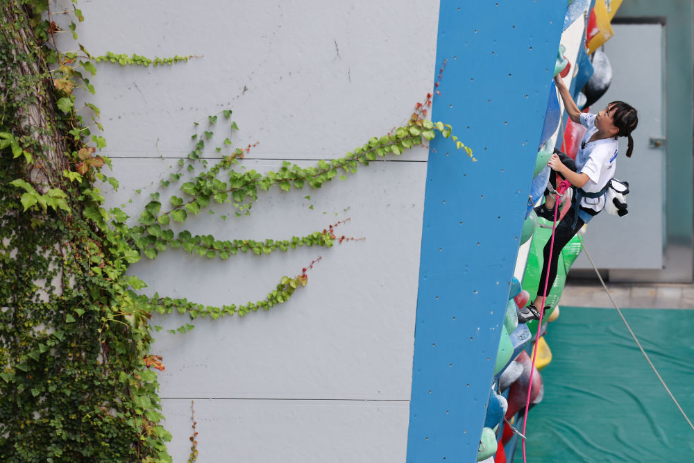 体育地理｜跃动大湾区(图13)