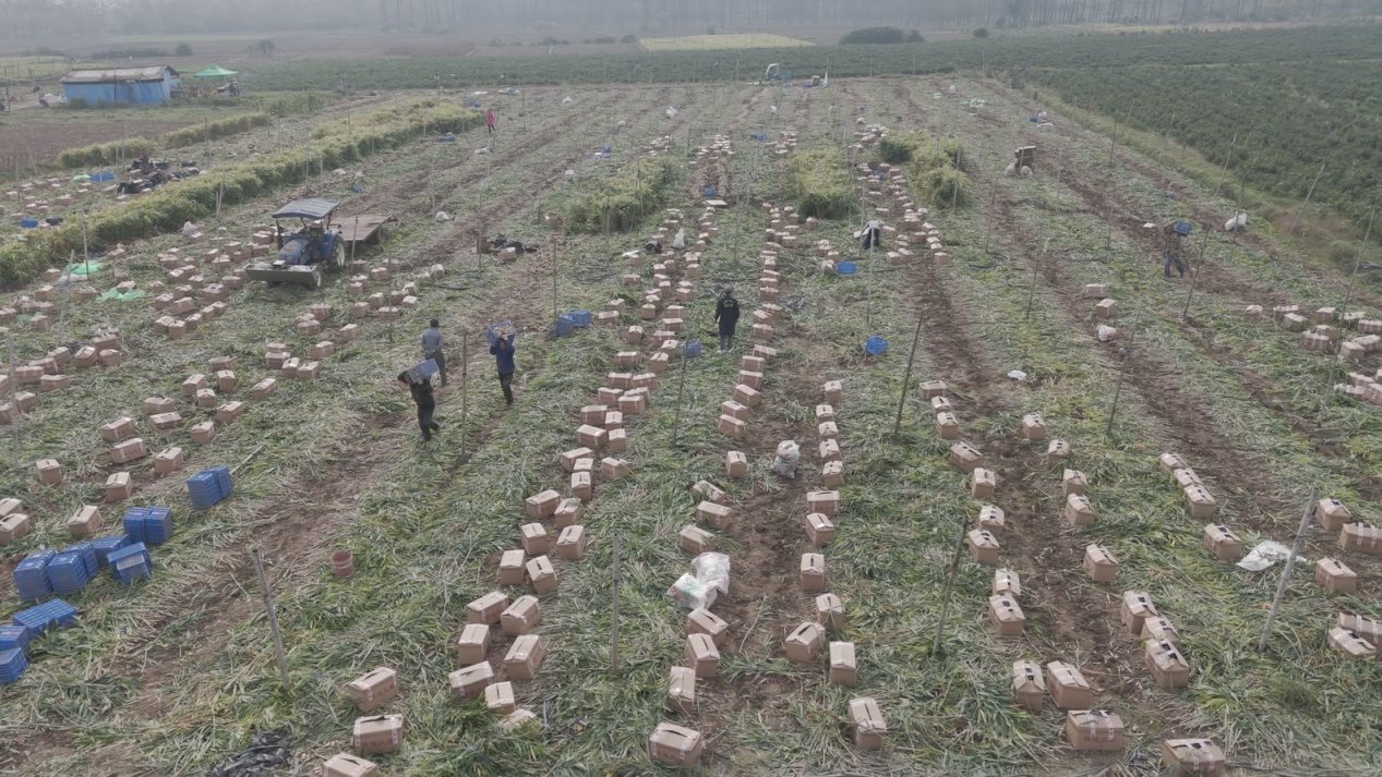 南漳：“江山”无限美好，“钱”景欣欣向荣
