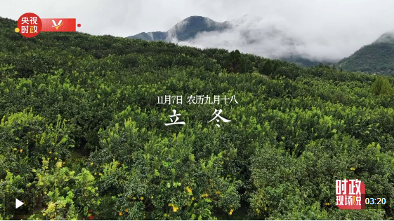 直播聊时事丨金文丹支店爆满，行业太甜了万千