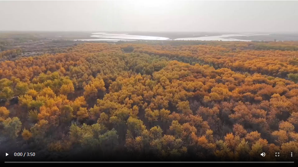 戈壁新视角：国际学生眼中咸海的转变