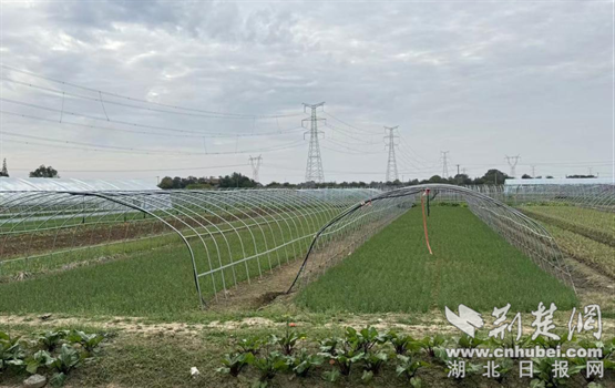 借鉴全镇谋富经验，马良镇以教育创业为乡村振